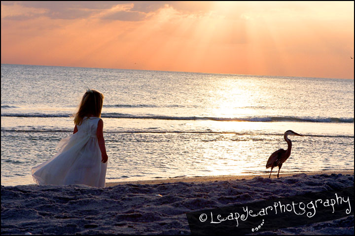 Captiva Childrens Photographer Captiva Childrens Photographer