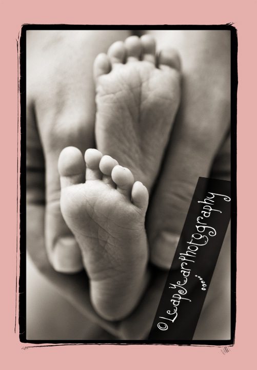 Sanibel Baby Photographer Sanibel Baby Photographer