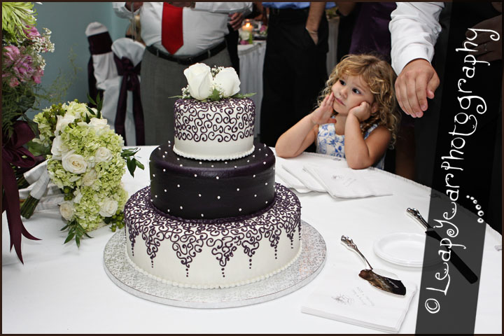 The Cake looks delicious!